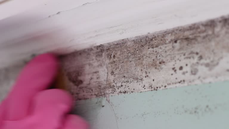 Best Industrial Mold Remediation  in Claysburg, PA